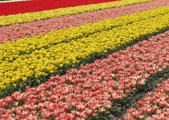 Prázdninový areál Landal Dunimar Noordwijkerhout